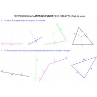 Drepte, semidrepte si segmente - fise de lucru
