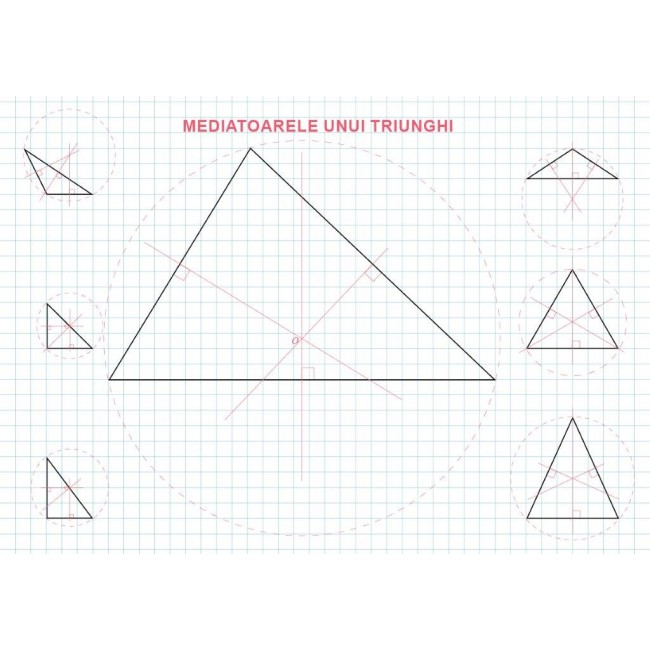 "Linii importante in triunghi" (set 8 planse A3 color plastifiate + 4 folii A4 transparente + 4 fise de lucru A3)