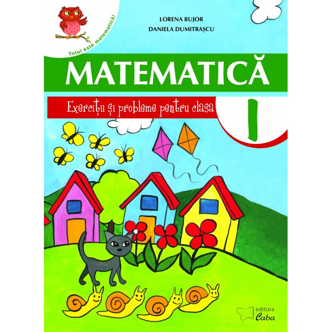 Matematica - exercitii si probleme pentru clasa  I  (brosat)