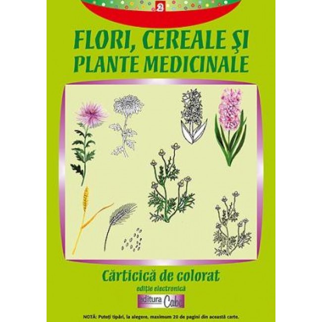 Carte de colorat: Flori, cereale si plante medicinale (A4)