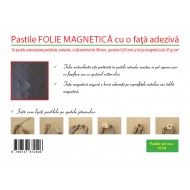 Pastile magnetice rotunde (diametru 4 cm)