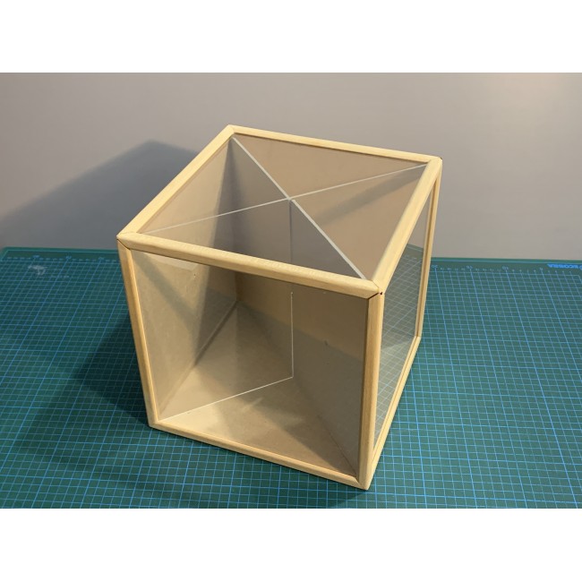 Cubul Transparent - set educativ cu 20 de piese (12 ani +)