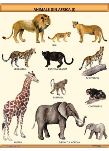 A1 „Animale din Africa (I)", offset de 160 g/mp