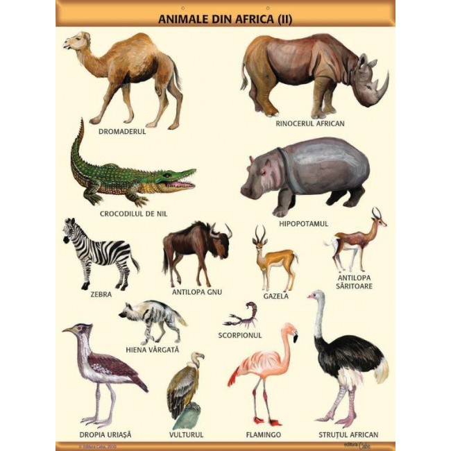 A1 „Animale din Africa (II)", offset de 160 g/mp (cu 2 benzi folie magnetica pe verso)