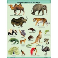 A1 „Animale din Asia si Australia",  A1, offset de 160 g/mp