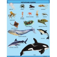 A1 „Vietuitoare marine", offset de 160 g/mp 