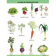 A1 „Legume de primavara - vara", offset de 160 g/mp