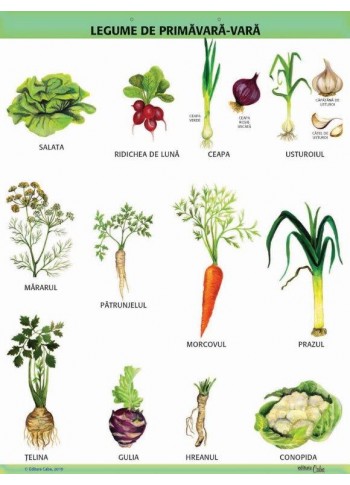A1 „Legume de primavara - vara", offset de 160 g/mp A1 „Legume de primavara - vara", offset de 160 g/mp