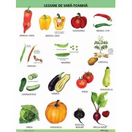 A1 „Legume de vara - toamna", offset de 160 g/mp