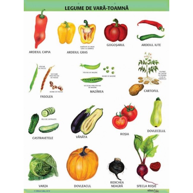A1 „Legume de vara - toamna", offset de 160 g/mp (cu 2 benzi folie magnetica pe verso) A1 „Legume de vara - toamna", offset de 160 g/mp (cu 2 benzi folie magnetica pe verso)